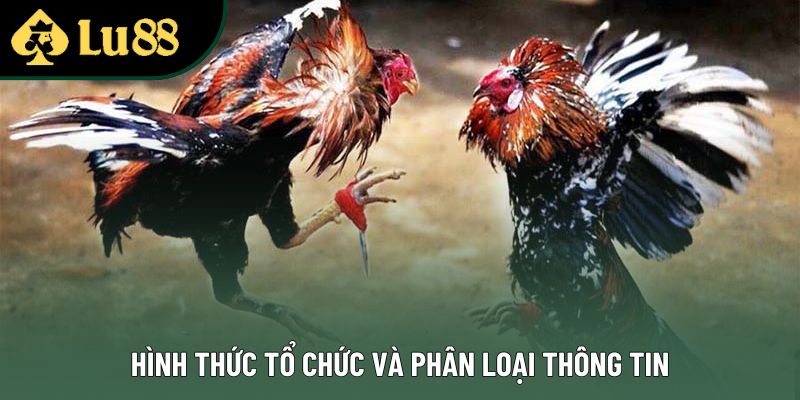 Hình thức tổ chức và phân loại thông tin Hình thức tổ chức và phân loại thông tin