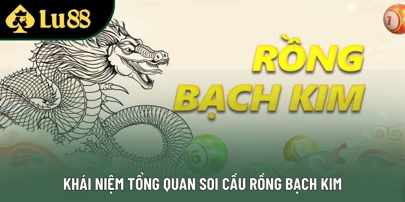 Khái niệm tổng quan soi cầu rồng bạch kim