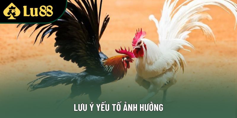 Lưu ý yếu tố ảnh hưởng Lưu ý yếu tố ảnh hưởng