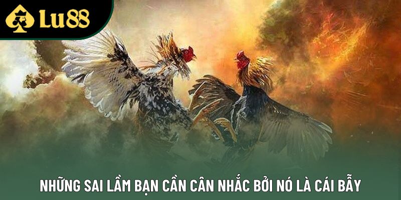 Những sai lầm bạn cần cân nhắc bởi nó là cái bẫy Những sai lầm bạn cần cân nhắc bởi nó là cái bẫy